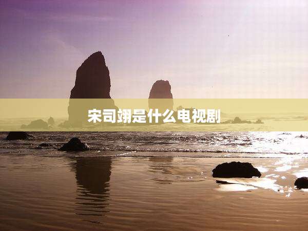 宋司翊是什么电视剧