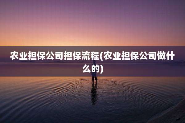 农业担保公司担保流程(农业担保公司做什么的)