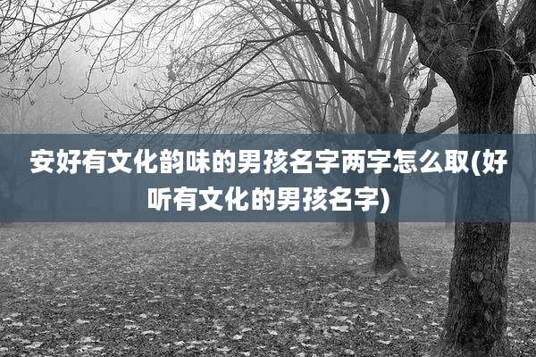 安好有文化韵味的男孩名字两字怎么取(好听有文化的男孩名字)