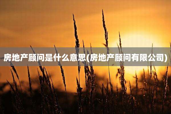 房地产顾问是什么意思(房地产顾问有限公司)