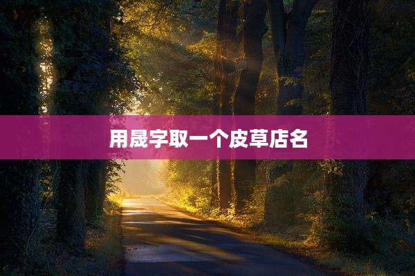 用晟字取一个皮草店名