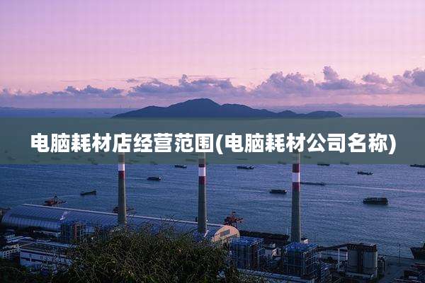电脑耗材店经营范围(电脑耗材公司名称)