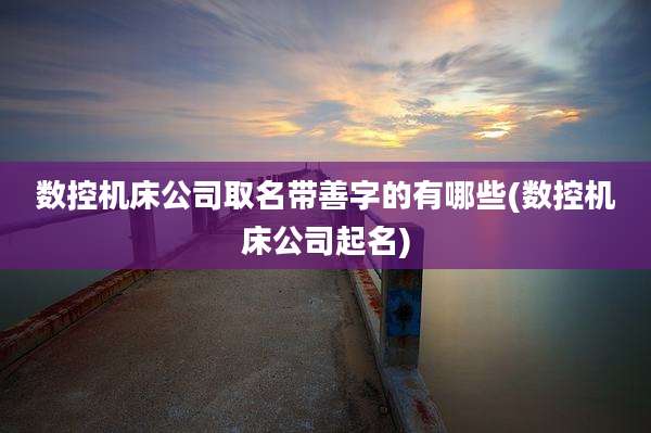 数控机床公司取名带善字的有哪些(数控机床公司起名)