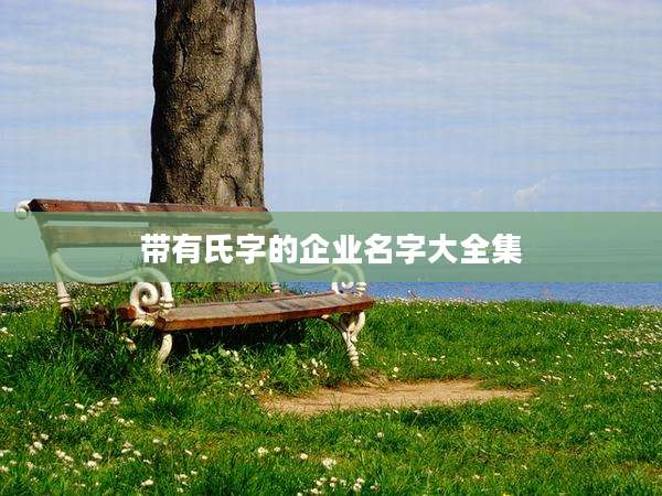 带有氏字的企业名字大全集