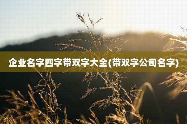 企业名字四字带双字大全(带双字公司名字)