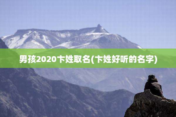 男孩2020卞姓取名(卞姓好听的名字)
