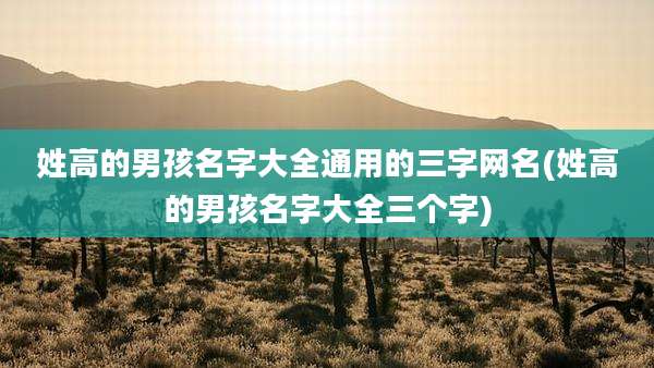 姓高的男孩名字大全通用的三字网名(姓高的男孩名字大全三个字)