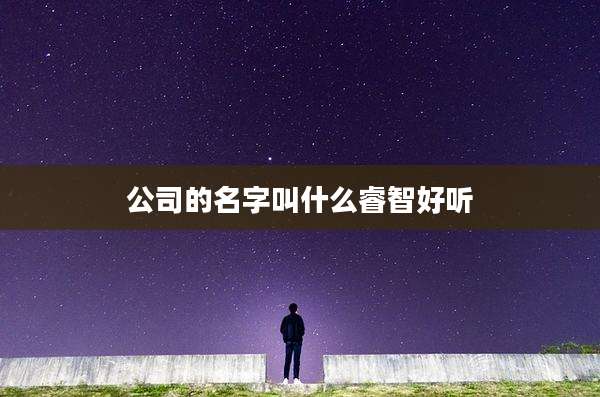 公司的名字叫什么睿智好听