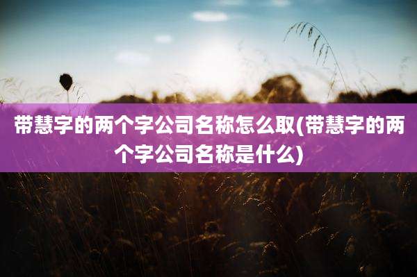 带慧字的两个字公司名称怎么取(带慧字的两个字公司名称是什么)