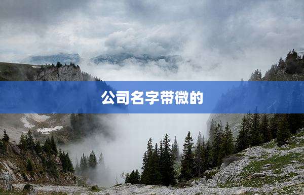 公司名字带微的