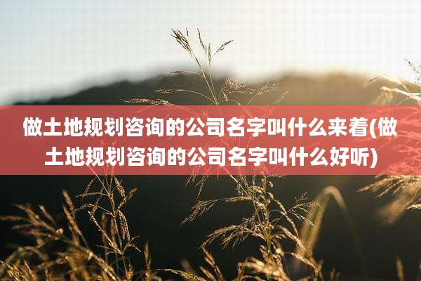 做土地规划咨询的公司名字叫什么来着(做土地规划咨询的公司名字叫什么好听)