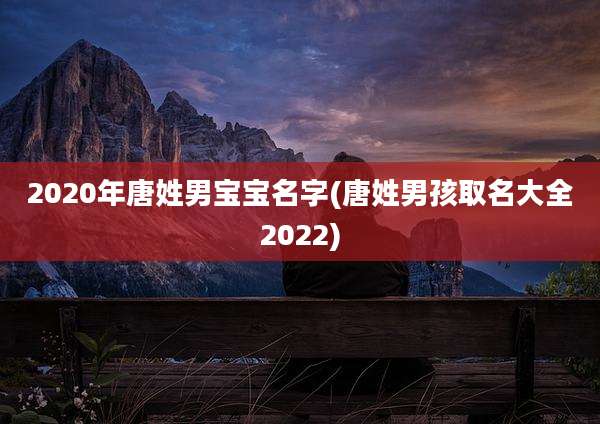 2020年唐姓男宝宝名字(唐姓男孩取名大全2022)