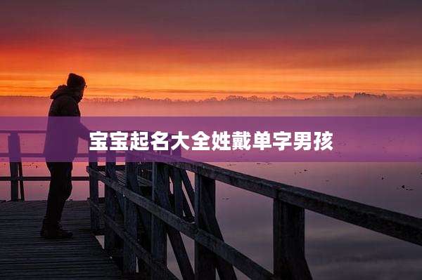 宝宝起名大全姓戴单字男孩