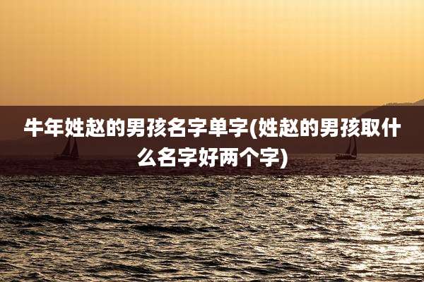 牛年姓赵的男孩名字单字(姓赵的男孩取什么名字好两个字)