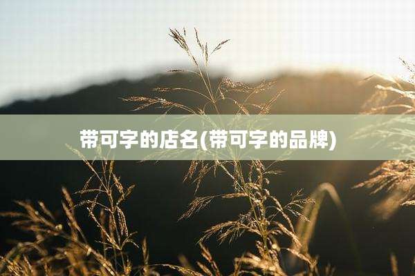 带可字的店名(带可字的品牌)