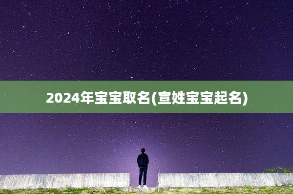 2024年宝宝取名(宣姓宝宝起名)