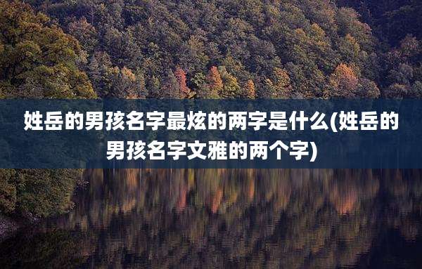 姓岳的男孩名字最炫的两字是什么(姓岳的男孩名字文雅的两个字)