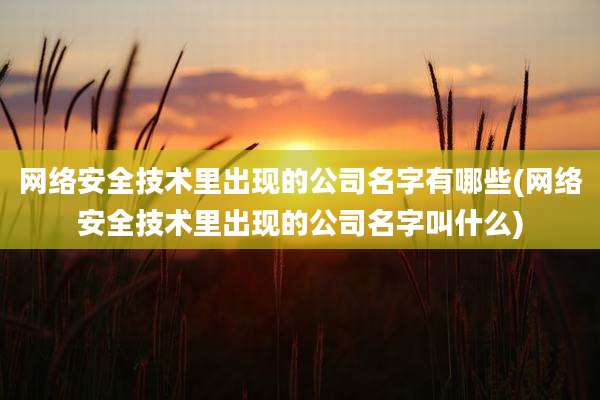 网络安全技术里出现的公司名字有哪些(网络安全技术里出现的公司名字叫什么)