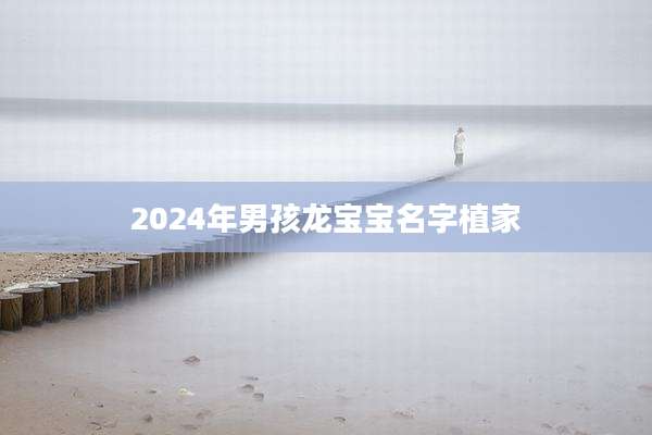 2024年男孩龙宝宝名字植家