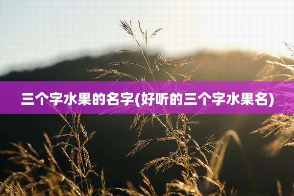 三个字水果的名字(好听的三个字水果名)