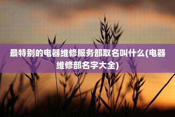 最特别的电器维修服务部取名叫什么(电器维修部名字大全)