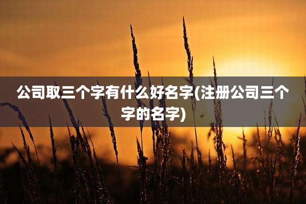 公司取三个字有什么好名字(注册公司三个字的名字)