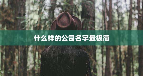 什么样的公司名字最极简