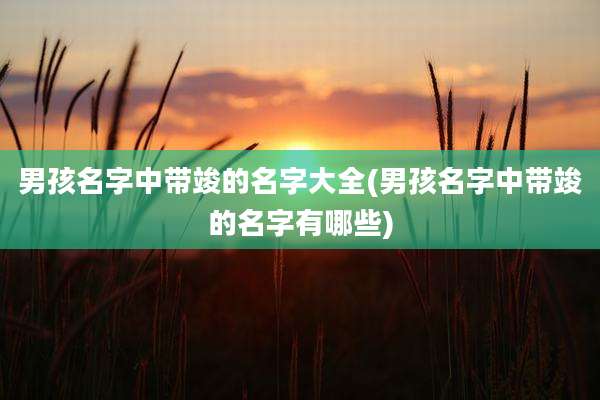 男孩名字中带竣的名字大全(男孩名字中带竣的名字有哪些)