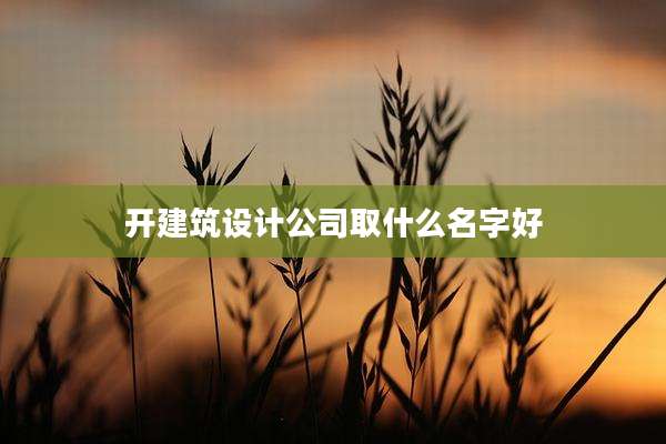 开建筑设计公司取什么名字好