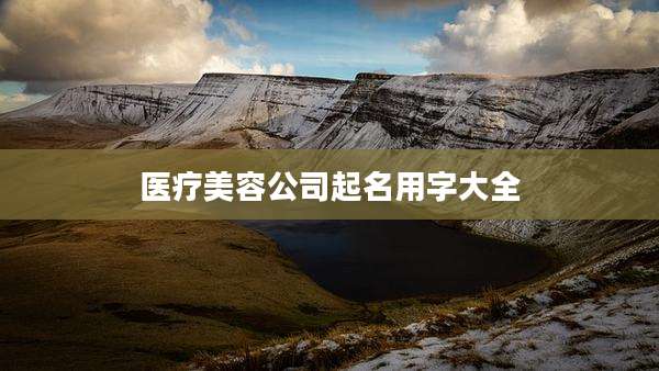 医疗美容公司起名用字大全