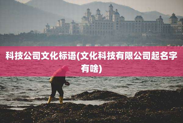 科技公司文化标语(文化科技有限公司起名字有啥)
