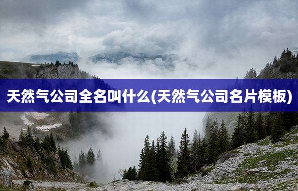 天然气公司全名叫什么(天然气公司名片模板)