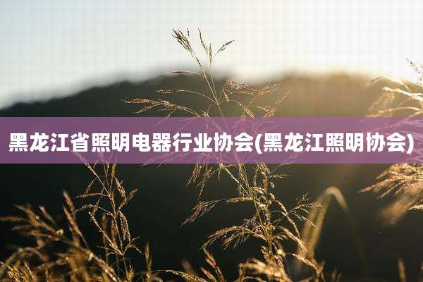 黑龙江省照明电器行业协会(黑龙江照明协会)
