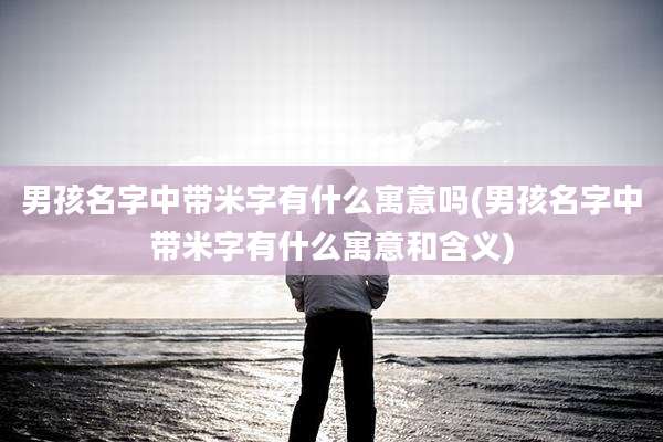 男孩名字中带米字有什么寓意吗(男孩名字中带米字有什么寓意和含义)