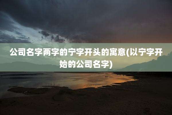 公司名字两字的宁字开头的寓意(以宁字开始的公司名字)