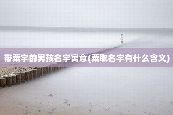 带粟字的男孩名字寓意(粟取名字有什么含义)
