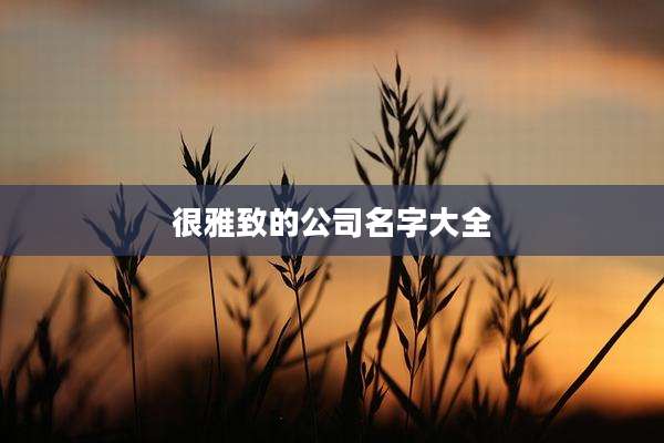 很雅致的公司名字大全