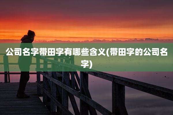 公司名字带田字有哪些含义(带田字的公司名字)