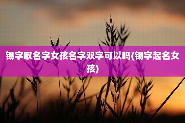 锡字取名字女孩名字双字可以吗(锡字起名女孩)