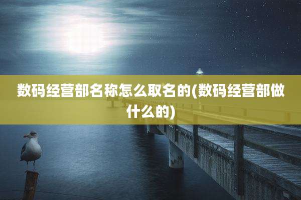 数码经营部名称怎么取名的(数码经营部做什么的)