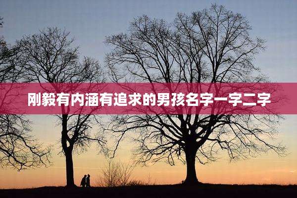 刚毅有内涵有追求的男孩名字一字二字