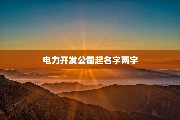电力开发公司起名字两字