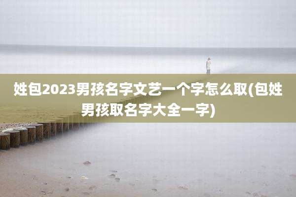 姓包2023男孩名字文艺一个字怎么取(包姓男孩取名字大全一字)