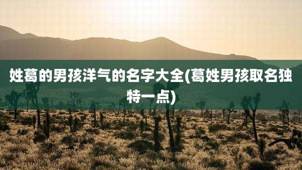 姓葛的男孩洋气的名字大全(葛姓男孩取名独特一点)