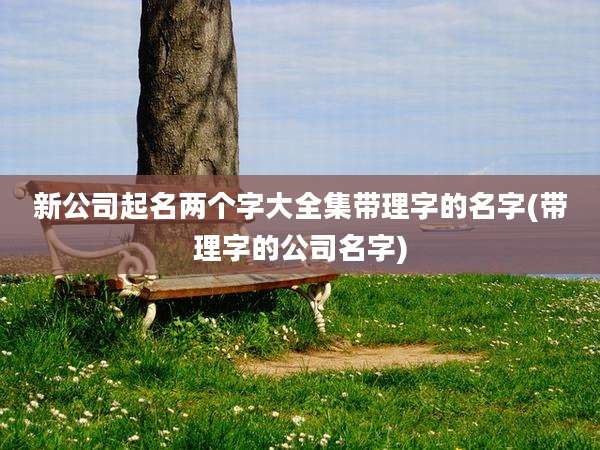 新公司起名两个字大全集带理字的名字(带理字的公司名字)