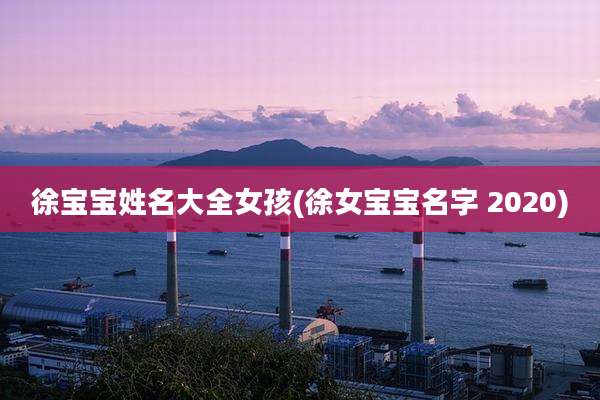 徐宝宝姓名大全女孩(徐女宝宝名字 2020)