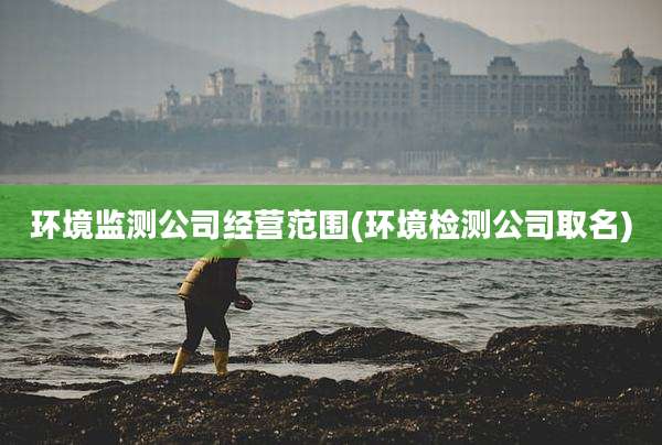 环境监测公司经营范围(环境检测公司取名)