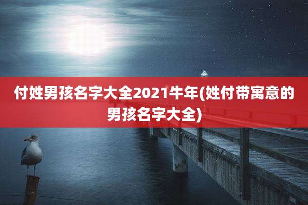 付姓男孩名字大全2021牛年(姓付带寓意的男孩名字大全)