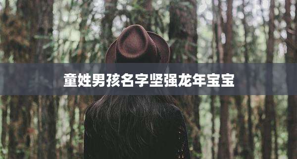 童姓男孩名字坚强龙年宝宝
