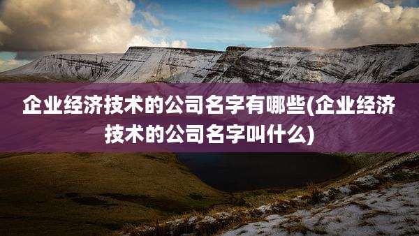 企业经济技术的公司名字有哪些(企业经济技术的公司名字叫什么)